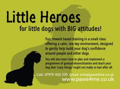 Little Heroes, my first class as Paws4Me in 2015