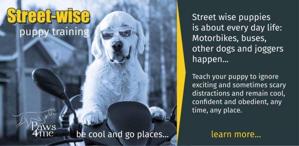 Street wise puppy socialisation classes